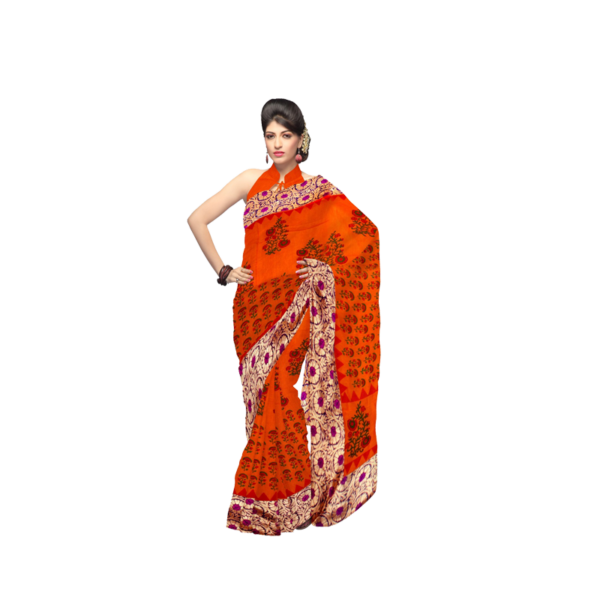 Fancy Ladies Sari
